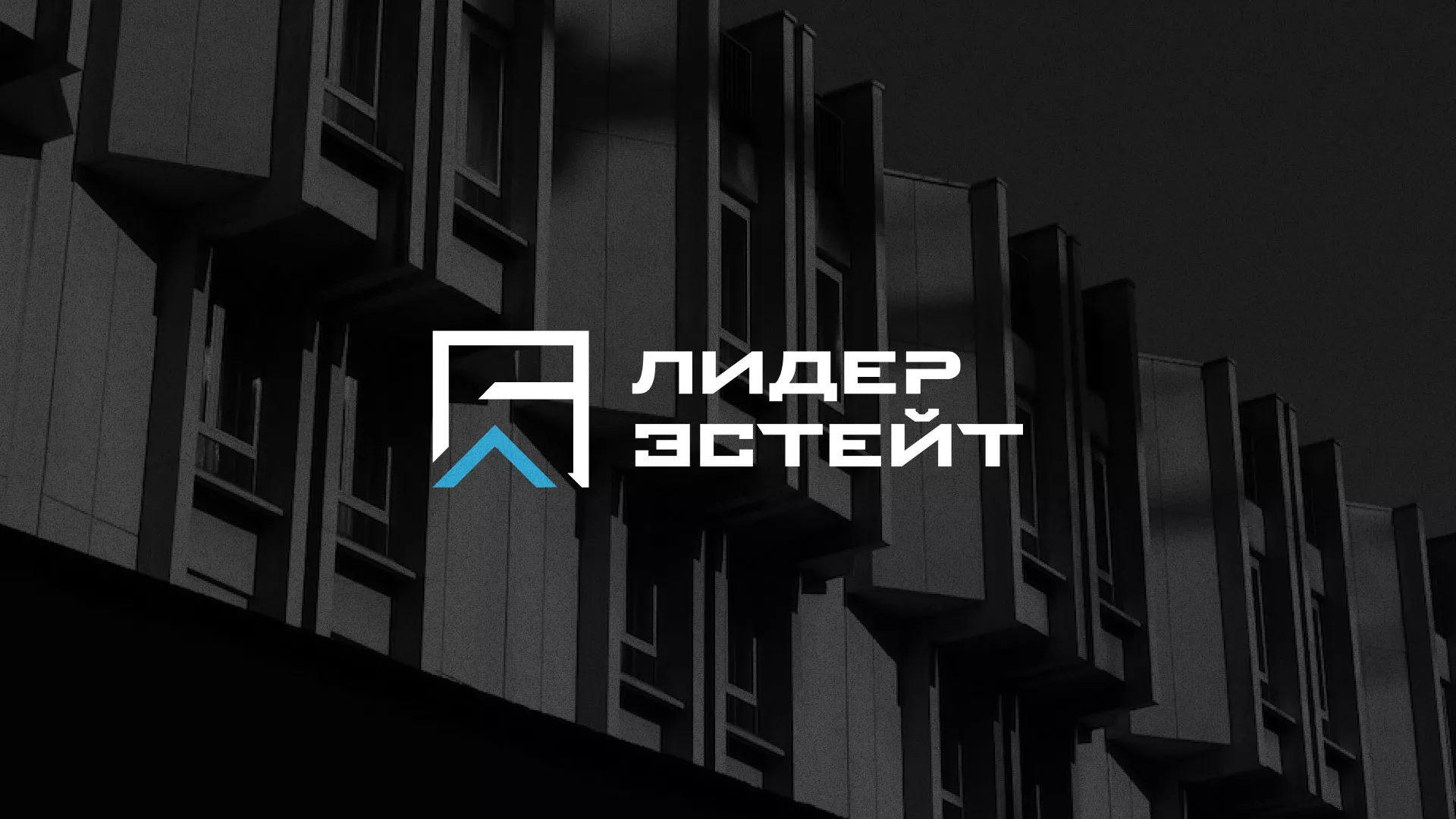 Разработка логотипа агентства недвижимости «Лидер Эстейт» в Трубчевске